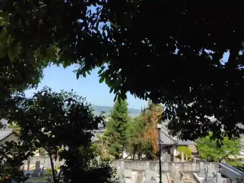 野々上八幡神社(大阪府)