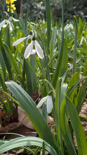半木神社（賀茂別雷神社境外末社）(京都府)