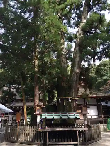 大神神社(奈良県)