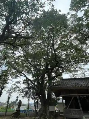 天八幡神社(福岡県)