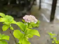 伊勢の国 四天王寺(三重県)