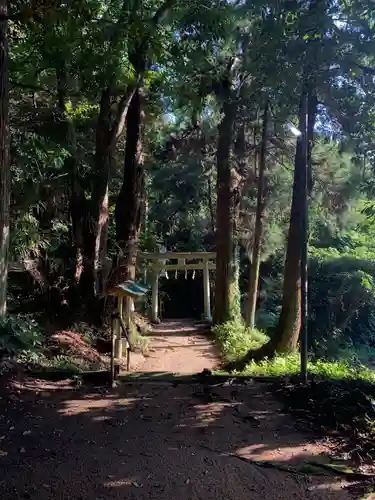 八幡大神の鳥居