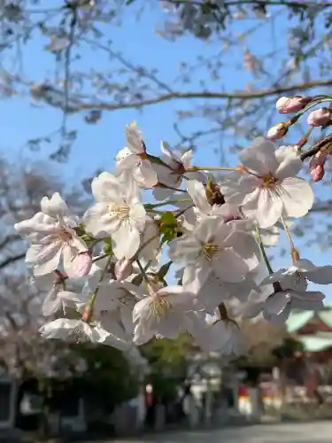 潮田神社の{uncategorized: "未分類", other: "その他", undefined: "問題あり", building: "その他建物", grave: "お墓", sacred_gate: "鳥居", guardian: "狛犬", statue: "像", buddha: "仏像", history: "歴史", nature: "自然", garden: "庭園", animal: "動物", pagoda: "塔", temizu: "手水舎", mountain_gate: "山門・神門", sanctuary: "本殿・本堂", subordinate: "末社・摂社", art: "芸術", scenery: "景色", jizo: "地蔵", ema: "絵馬", goshuin: "御朱印", omikuji: "おみくじ", items: "授与品その他", amulet: "お守り", goshuincho: "御朱印帳", eats: "食事", festival: "お祭り", votive_dance: "神楽", shichigosan: "七五三参", wedding: "結婚式", experience: "体験その他", initially: "初詣", around: "周辺", anti_infection: "感染症対策"}