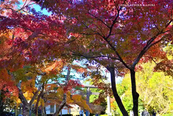 鹿島神宮(茨城県)