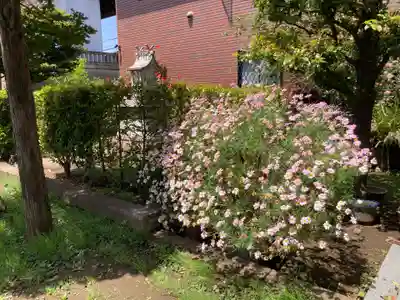 桜神宮(東京都)