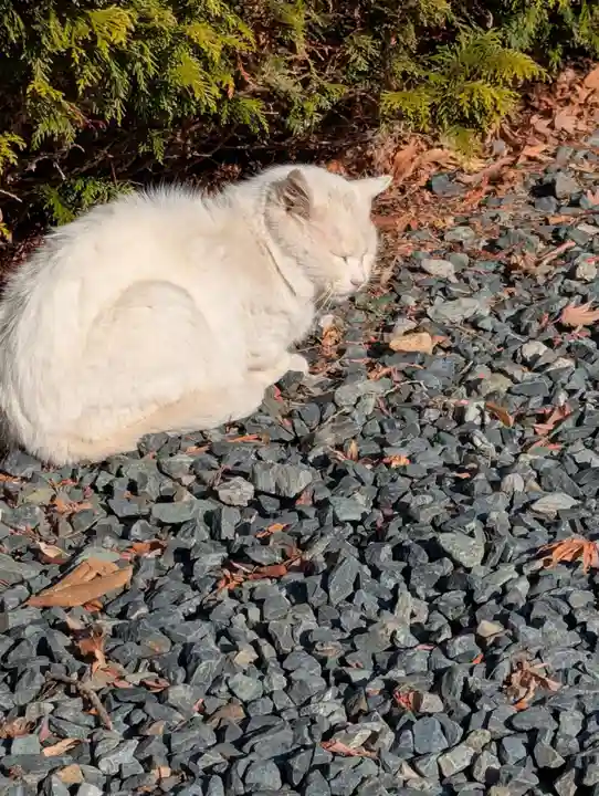 盛岡八幡宮(岩手県)