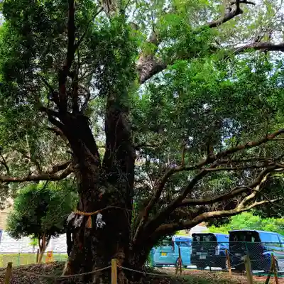 天御子神社(静岡県)