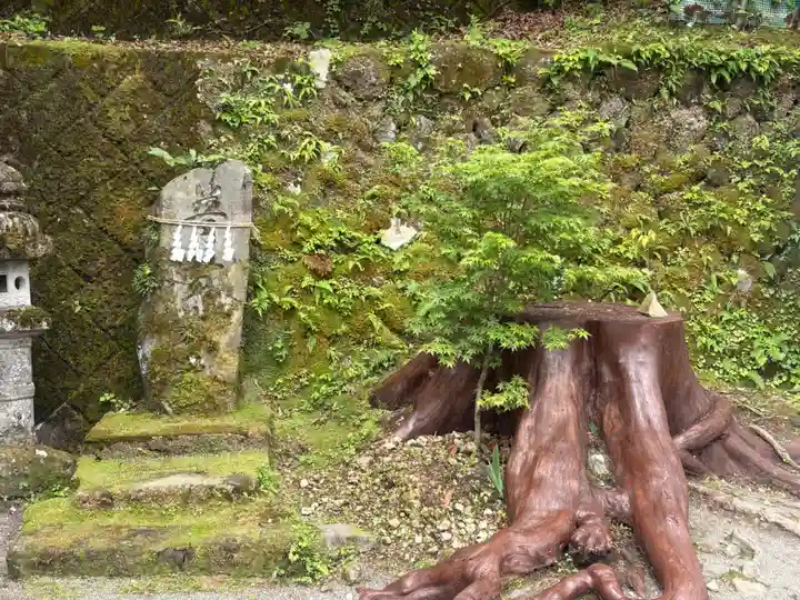 伊香保神社(群馬県)