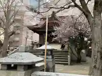 白鬚神社(石川県)