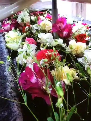 鳩森八幡神社の手水舎