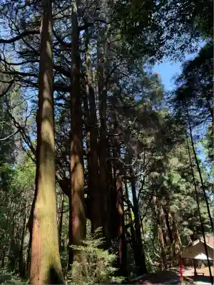 槵觸神社(宮崎県)