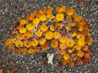 出雲大神宮(京都府)