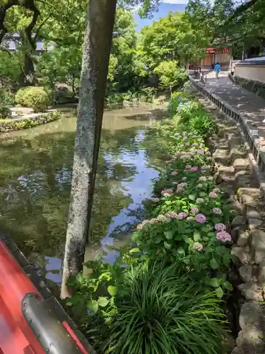 太宰府天満宮の庭園