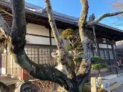 薬常寺の本殿