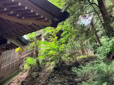 度津神社(新潟県)