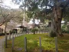 大智寺の自然