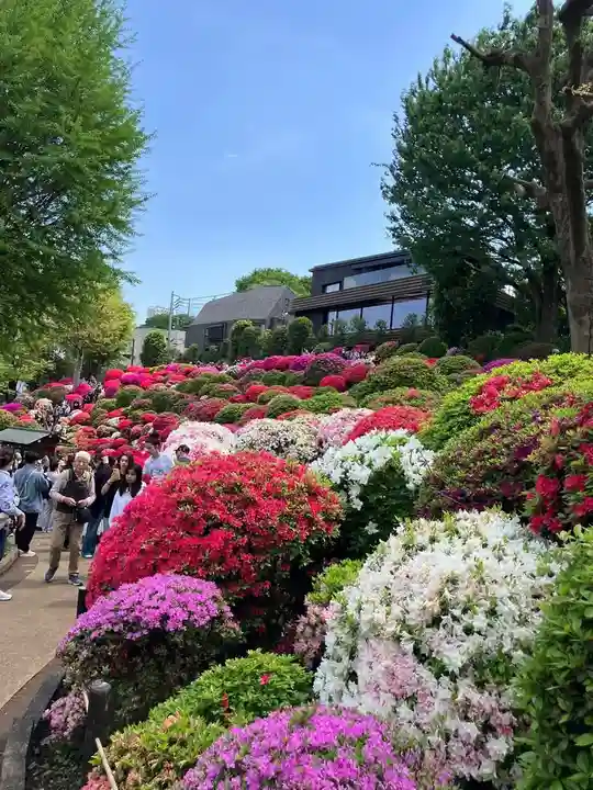 根津神社(東京都)