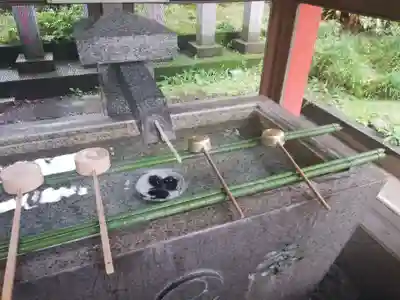 くまくま神社(導きの社 熊野町熊野神社)の手水舎