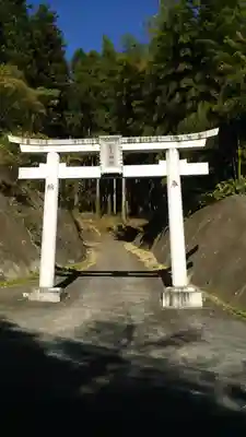 武生神社の鳥居