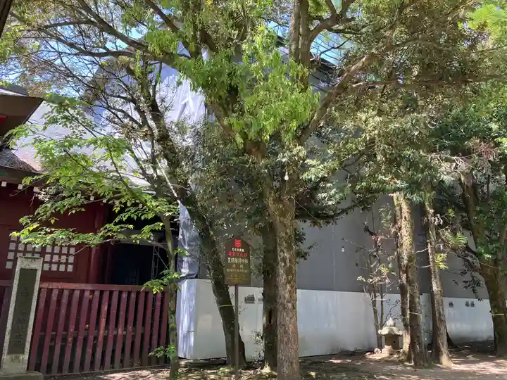 笠間稲荷神社(茨城県)