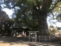 伊勢神明社(静岡県)