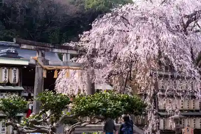 大石神社(京都府)