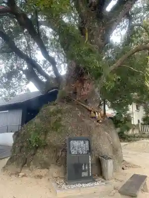糸碕神社の{uncategorized: "未分類", other: "その他", undefined: "問題あり", building: "その他建物", grave: "お墓", sacred_gate: "鳥居", guardian: "狛犬", statue: "像", buddha: "仏像", history: "歴史", nature: "自然", garden: "庭園", animal: "動物", pagoda: "塔", temizu: "手水舎", mountain_gate: "山門・神門", sanctuary: "本殿・本堂", subordinate: "末社・摂社", art: "芸術", scenery: "景色", jizo: "地蔵", ema: "絵馬", goshuin: "御朱印", omikuji: "おみくじ", items: "授与品その他", amulet: "お守り", goshuincho: "御朱印帳", eats: "食事", festival: "お祭り", votive_dance: "神楽", shichigosan: "七五三参", wedding: "結婚式", experience: "体験その他", initially: "初詣", around: "周辺", anti_infection: "感染症対策"}