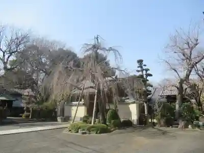 龍福寺(東京都)