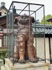 八坂神社(祇園さん)(京都府)