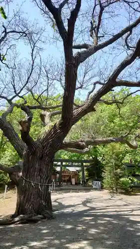 相馬神社の自然