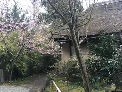 浄智寺(神奈川県)