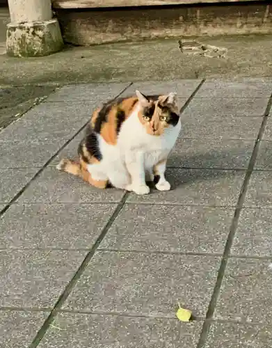蠣崎神社(宮城県)