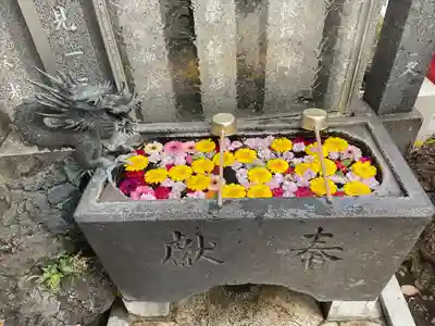 大井蔵王権現神社の手水舎