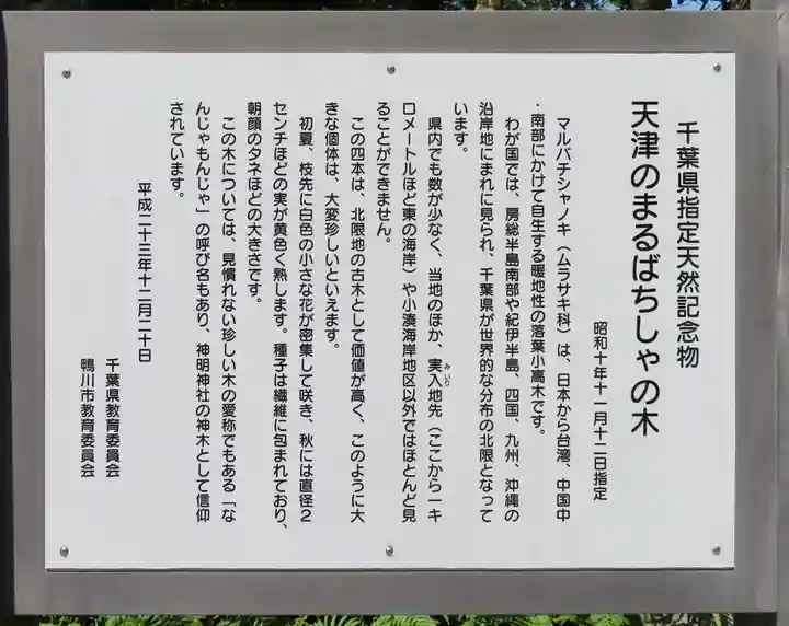 天津神明宮の歴史