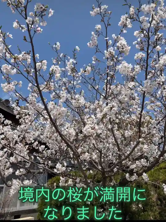 一乗院(和歌山県)