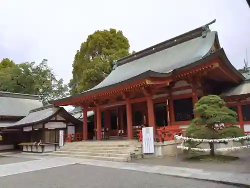 藤崎八旛宮(熊本県)