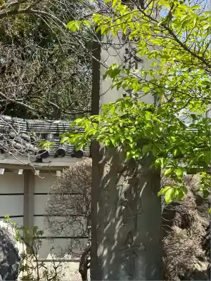 龍雲寺(東京都)
