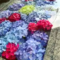 滑川神社 - 仕事と子どもの守り神の手水舎