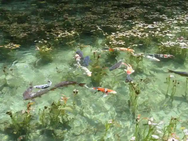 根道神社(岐阜県)