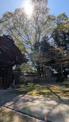 西教寺(滋賀県)