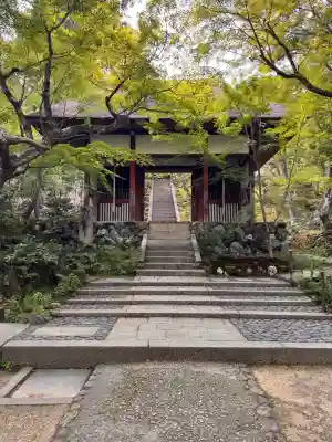 常寂光寺(京都府)