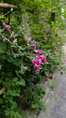 梨木神社(京都府)