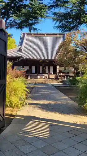 寛永寺(根本中堂)の本殿・本堂