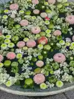 行田八幡神社(埼玉県)