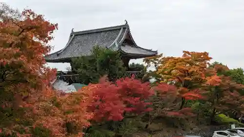 善峯寺(京都府)