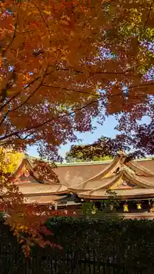 北野天満宮(京都府)