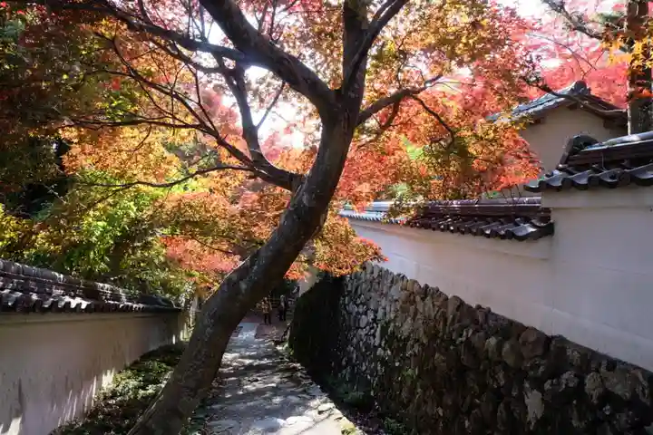 勝持寺(花の寺)(京都府)