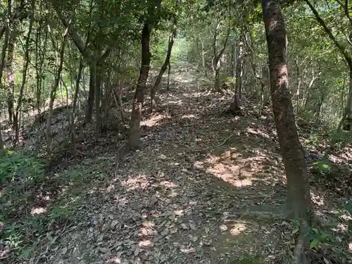 農神社(徳島県)