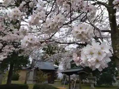 白山神社(福井県)