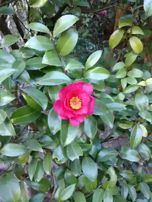 高千穂神社(宮崎県)